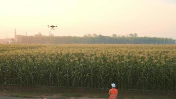 ingegnere maschio che controlla i droni che spruzzano fertilizzanti e pesticidi su terreni agricoli, innovazioni ad alta tecnologia e agricoltura intelligente video