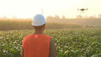 ingénieur masculin contrôlant la pulvérisation d'engrais et de pesticides par drone sur les terres agricoles, les innovations de haute technologie et l'agriculture intelligente video