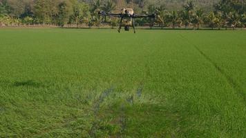 Agriculture drone flying and spraying fertilizer and pesticide over farmland,High technology innovations and smart farming video