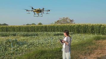 agriculteur intelligent avec drone pulvérisant des engrais et des pesticides sur les terres agricoles, innovations de haute technologie et agriculture intelligente video