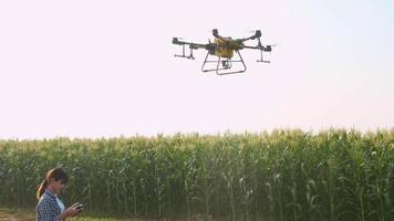 smart bonde med drönare som sprutar gödningsmedel och bekämpningsmedel över jordbruksmark, högteknologiska innovationer och smart jordbruk video