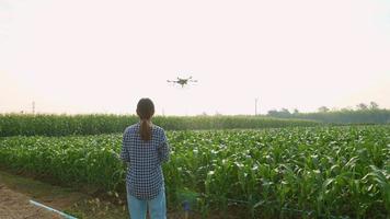 agricultor inteligente com drone pulverizando fertilizantes e pesticidas sobre terras agrícolas, inovações de alta tecnologia e agricultura inteligente video