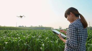 Smart farmer with drone spraying fertilizer and pesticide over farmland,High technology innovations and smart farming