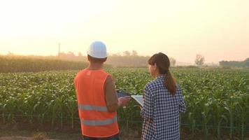 Male engineer  provide a consultation and instructing to smart farmer with drone spraying fertilizer and pesticide over farmland,High technology innovations and smart farming video