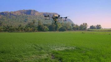 Agriculture drone flying and spraying fertilizer and pesticide over farmland,High technology innovations and smart farming video