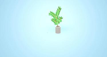 árbol verde 3d animación educación árbol video