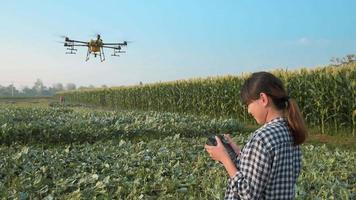 agricultor inteligente com drone pulverizando fertilizantes e pesticidas sobre terras agrícolas, inovações de alta tecnologia e agricultura inteligente video