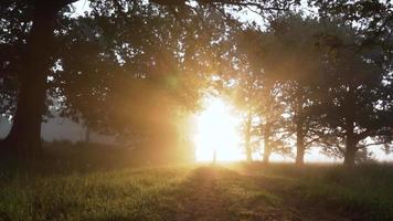 hombre caminando a través de la brillante puesta de sol en un bosque video