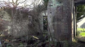 verlaten gebouw overgenomen door planten video