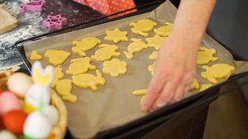 mulher colocando biscoitos de páscoa de diferentes formas em uma assadeira video