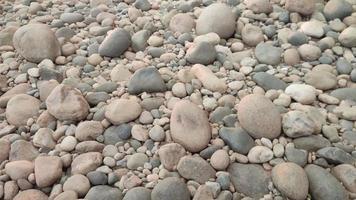 hermosa piedra junto al río en la tarde. roca, guijarro, pedregoso, canto rodado. video