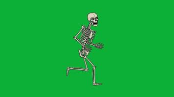 squelette de marche de dessin animé sur clé chroma video