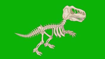 cartoon dinosaur skeleton on chroma key video