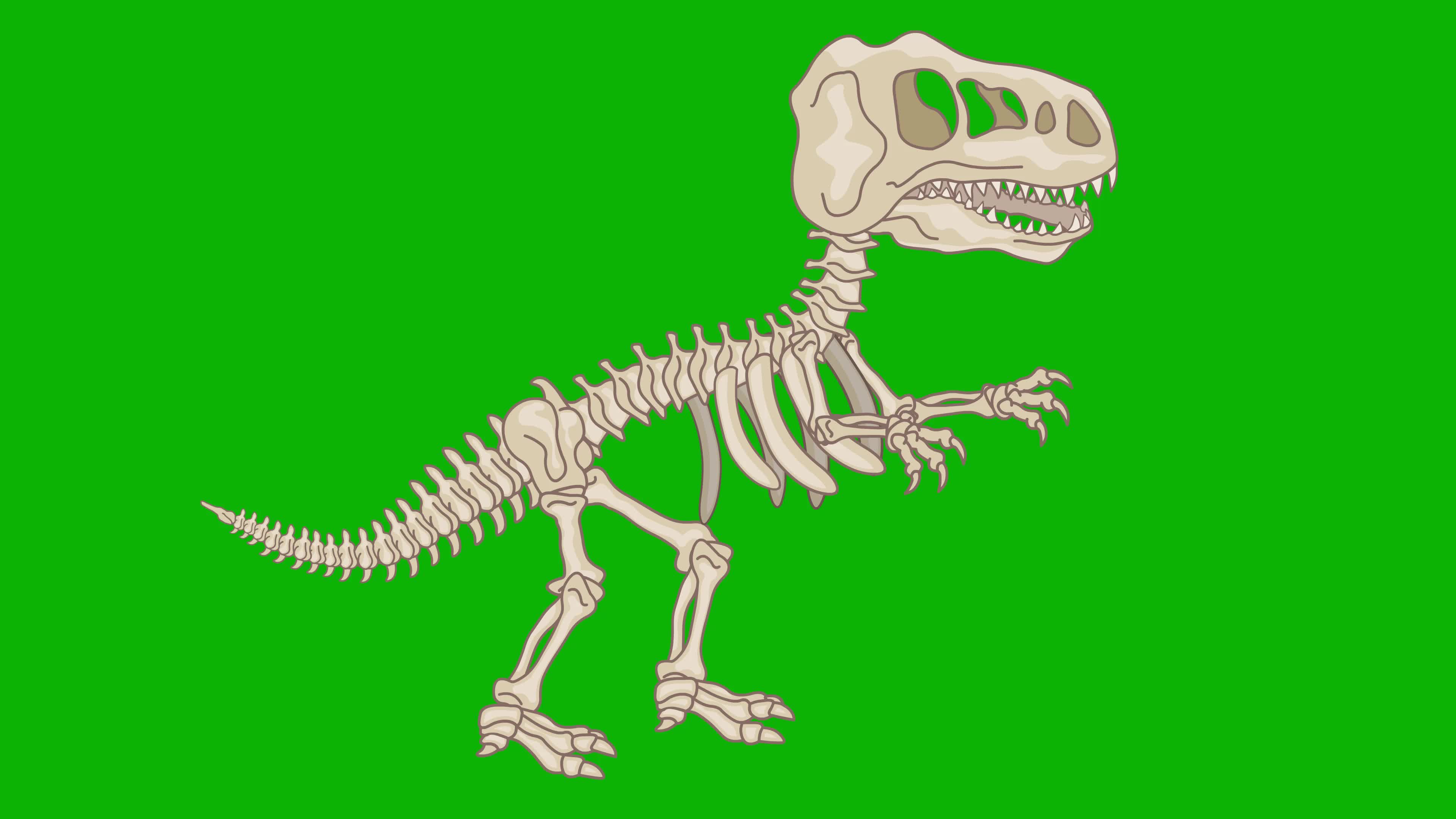 cartoon dinosaur skeleton on chroma key 6299337 Stock Video at Vecteezy