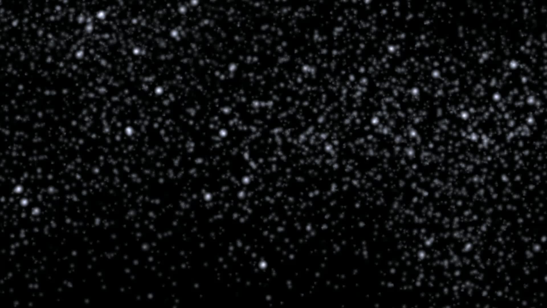 Snowfall Loop Stock Video Footage for Free Download