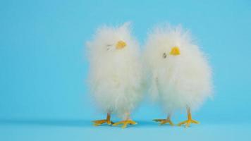 twee kippen op een blauwe achtergrond. ontwerp voor Pasen. Pasen en kip