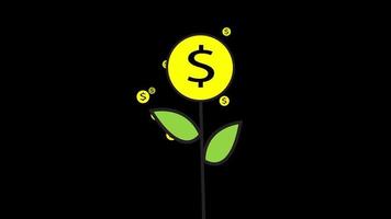 ilustração em vídeo de uma árvore de dinheiro crescendo e dando frutos, dinheiro caindo como um chuveiro de uma árvore de dinheiro em um fundo preto, 4k 60 fps video