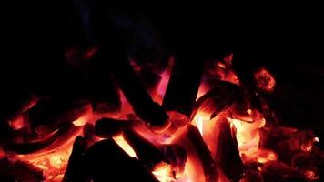 Close Up of Red Wood Fire Flames Hot Campfire Or Burning Wood Stove Footage video