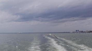 Bando de gaivotas decolando da água do oceano azul em câmera lenta