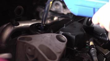 mecánico de servicio de mantenimiento de automóviles que vierte nuevo lubricante de aceite en el motor del automóvil