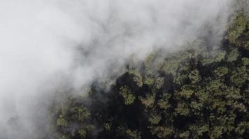 luchtfoto drone-weergave vliegen over een bos met wolken. het diepe bos filmen met beweging van bovenaf met passerende wolken. filmische opname. boven de wolken. ontspannend en peinzend gevoel. video