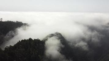 luchtfoto drone-weergave vliegen over een bos met wolken. het diepe bos filmen met beweging van bovenaf met passerende wolken. filmische opname. boven de wolken. ontspannend en peinzend gevoel. video