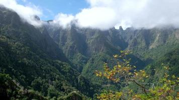 erstaunliche aussicht auf verschiedene berggipfel auf der insel madeira, portugal an einem sonnigen tag mit vorbeiziehenden wolken. schöne Bergkette. gelbe Blätter im Baum, Herbstgefühl. um die Welt reisen. video