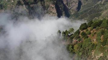 vue aérienne de drone survolant une forêt avec des nuages. filmer la forêt profonde avec un mouvement d'en haut avec des nuages qui passent. plan cinématographique. au dessus des nuages. sensation de détente et de réflexion. Voyage. video
