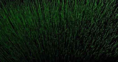 achtergrond van waterdruppels die vallen op een veld van donkergroen gras met organische beweging. 3D animatie video
