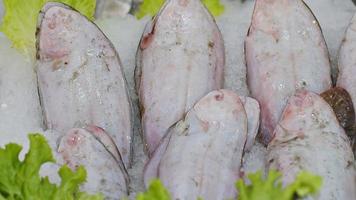 pescados crudos en hielo en la tienda de pescado video