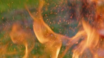 fogo de madeira de carvalho em um churrasco em cinzas e fumaça video