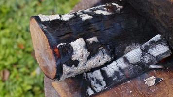 fuego de madera de roble en una barbacoa en ceniza y humo video