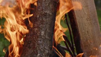 fuego de madera de roble en una barbacoa en ceniza y humo video