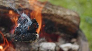 fogo de madeira de carvalho em um churrasco em cinzas e fumaça video