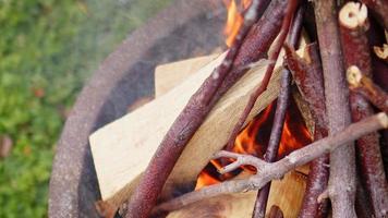 Oak wood fire in a Barbecue in ash and smoke video