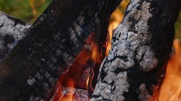 fogo de madeira de carvalho em um churrasco em cinzas e fumaça video