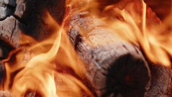 feu de bois de chêne dans un barbecue en cendre et fumée video