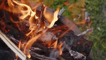 fogo de madeira de carvalho em um churrasco em cinzas e fumaça video