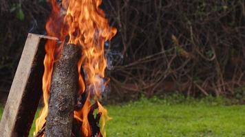 fuego de madera de roble en una barbacoa en ceniza y humo video