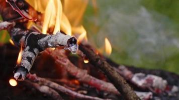 fuego de madera de roble en una barbacoa en ceniza y humo video