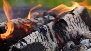 Oak wood fire in a Barbecue in ash and smoke video
