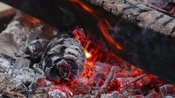 fuego de madera de roble en una barbacoa en ceniza y humo video