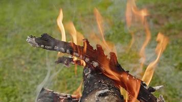 fuego de madera de roble en una barbacoa en ceniza y humo video