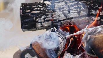 feu de bois de chêne dans un barbecue en cendre et fumée video