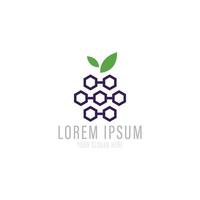 Grape logo design vector with hexagonal concept.