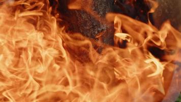 fuego de madera de roble en una barbacoa en ceniza y humo video