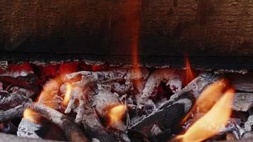 fuoco a legna di quercia in un barbecue in frassino e fumo video