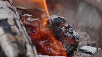 Eichenholzfeuer in einem Grill in Asche und Rauch video