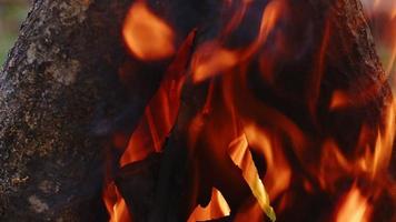 Eichenholzfeuer in einem Grill in Asche und Rauch video
