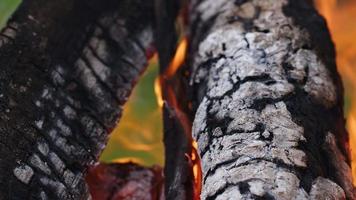 feu de bois de chêne dans un barbecue en cendre et fumée video